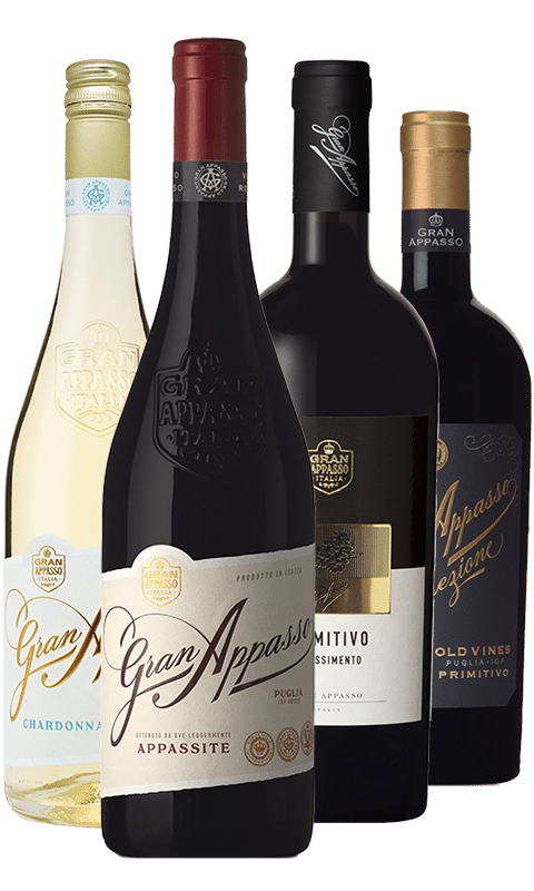 הכר את סדרת היינות גראן אפאסו מפוליה איטליה